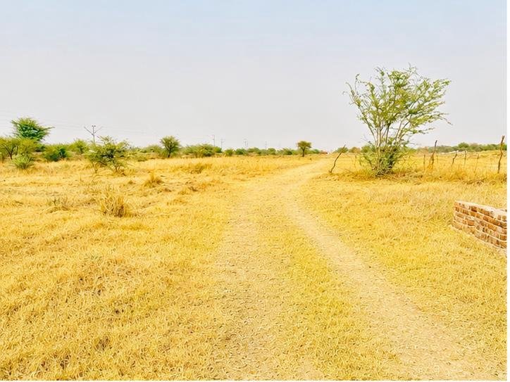 उरई - झांसी हाइवे गेट के नज़दीक 45X40 sqft का प्लॉट  gallery 4