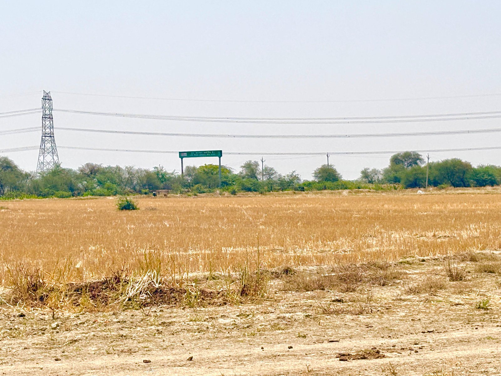 चिल्ली के पास 60X60 sqft का प्लॉट  gallery 3