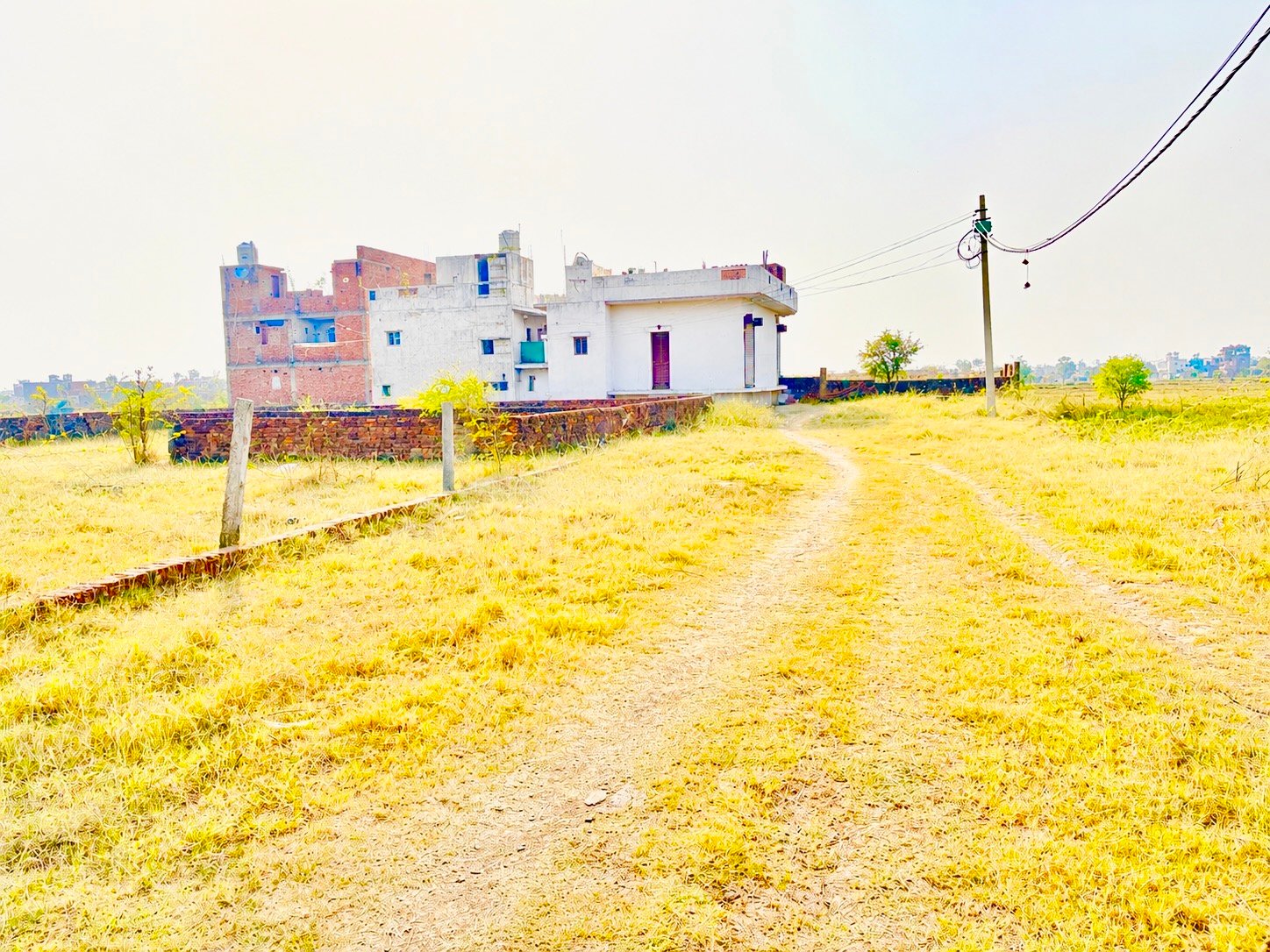 बसंत बिहार कॉलोनी में 1200 sqft का 30 फीट रास्ता पर प्लॉट  gallery 2