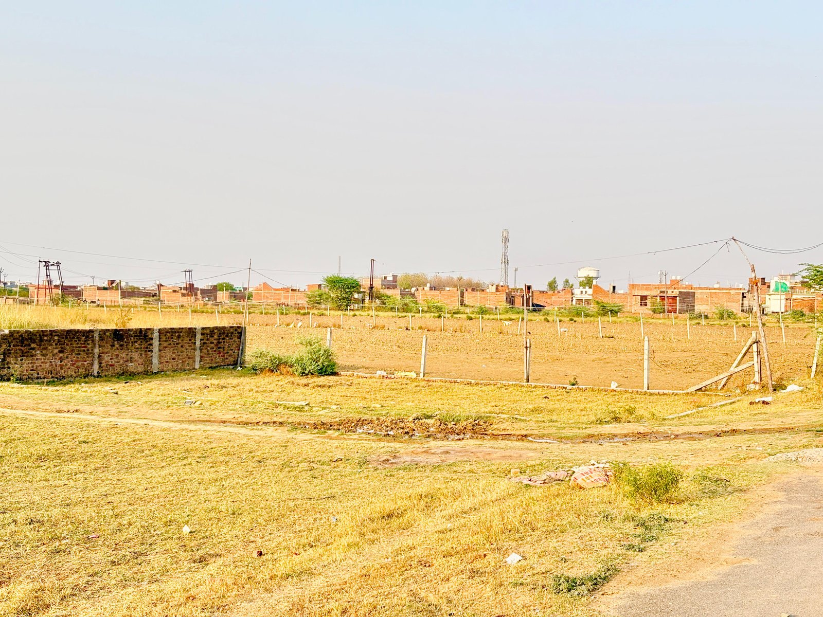 नए उमरार खेरा बस्ती में 40X40  फीट का प्लॉट 
