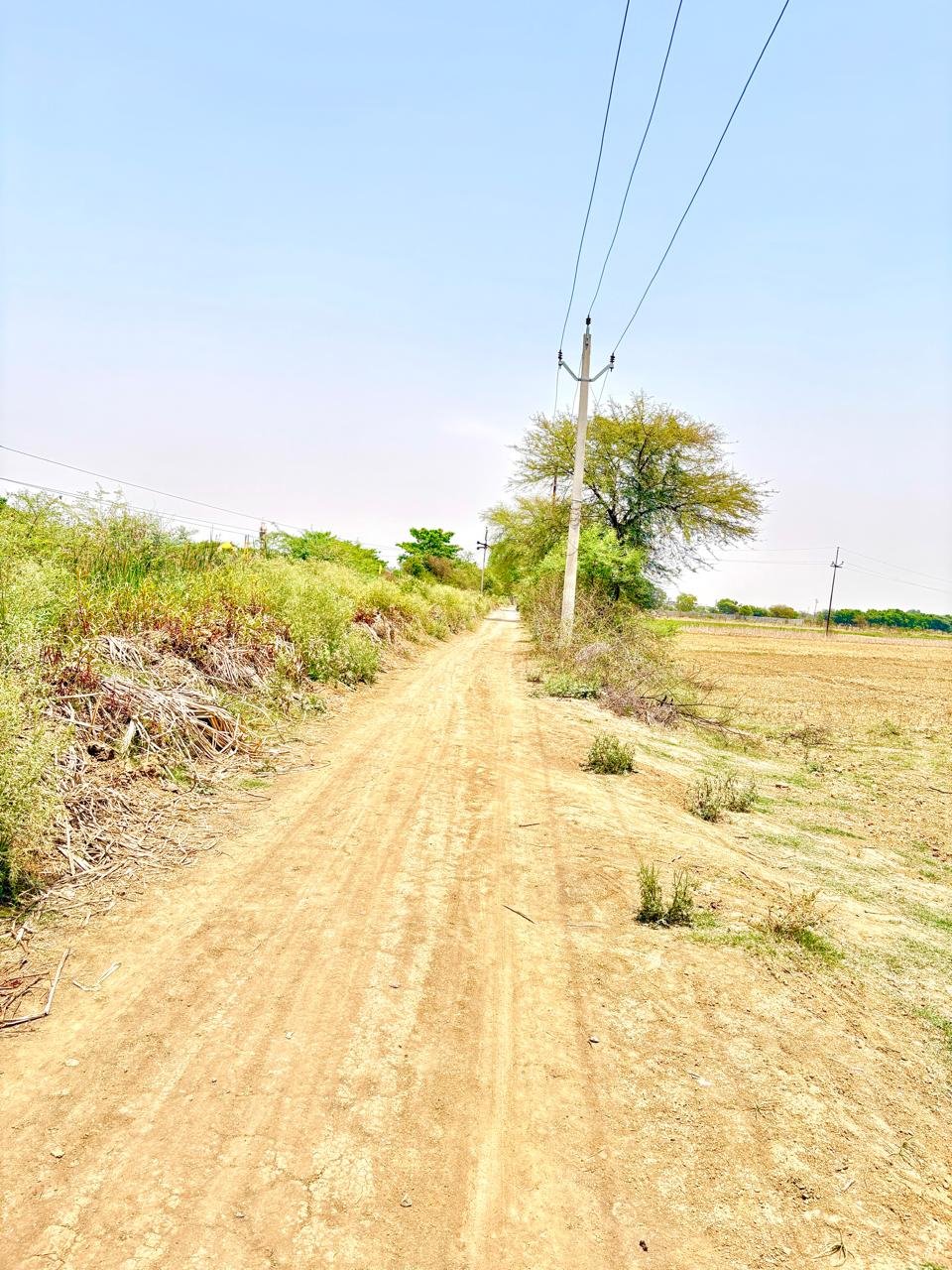 इंद्रप्रस्थ वॉटर पार्क के पास 25X50 फीट का प्लॉट gallery 4