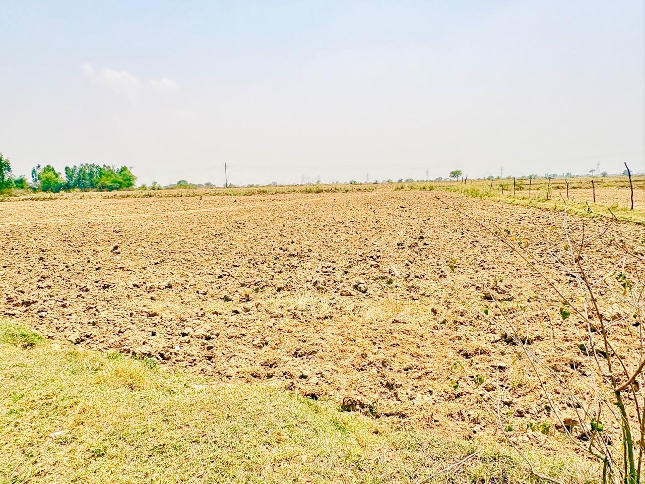 बोहदपुरा के पास 43 डिसमिल जमीन