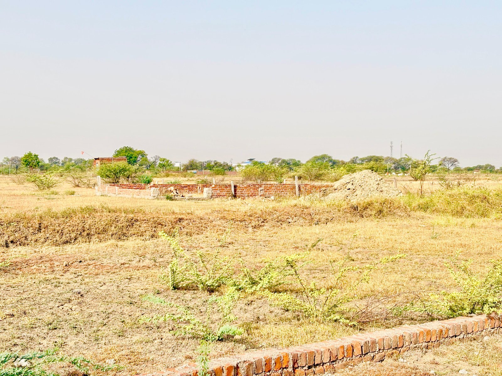 इन्वेस्टमेंट के लिए बेहतरीन 30X35 फीट का प्लॉट  gallery 4
