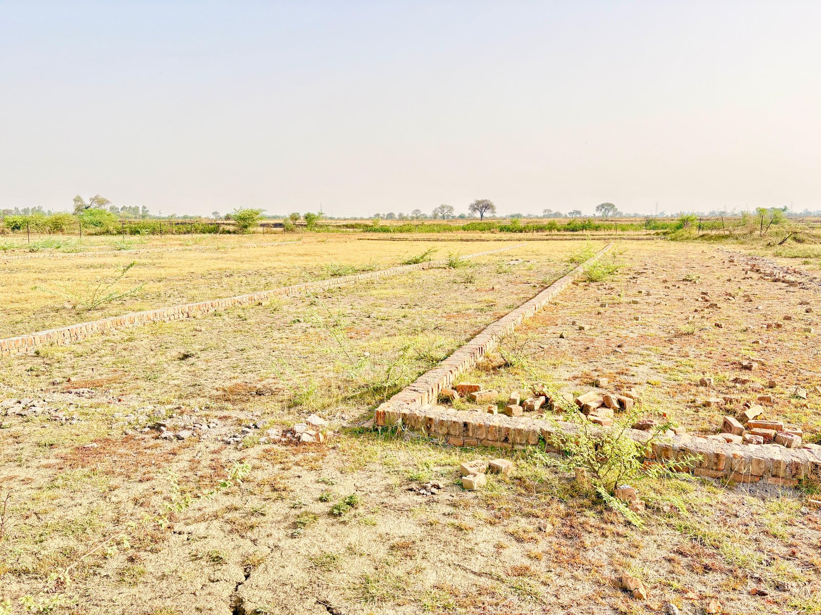 इन्वेस्टमेंट के लिए बेहतरीन 30X35 फीट का प्लॉट  gallery 5