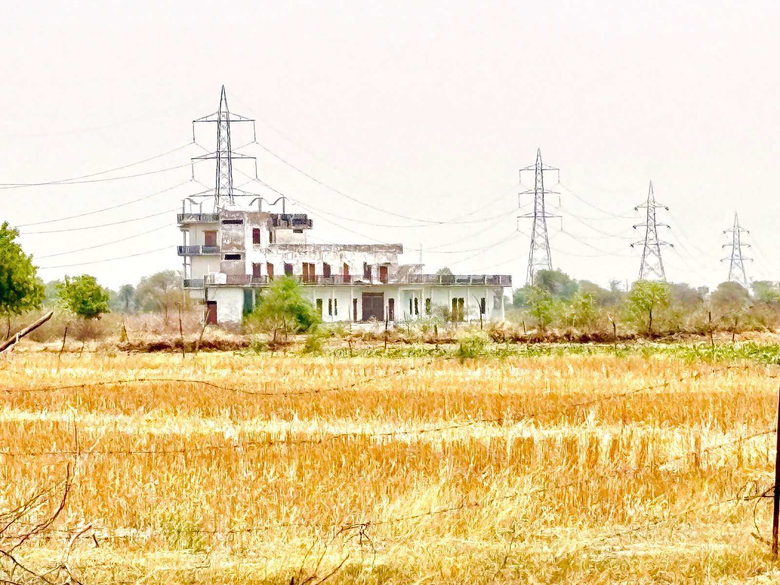सत्य साईं फार्मेसी कॉलेज के पास 2 एकड़ प्लाटिंग वाली जमीन 