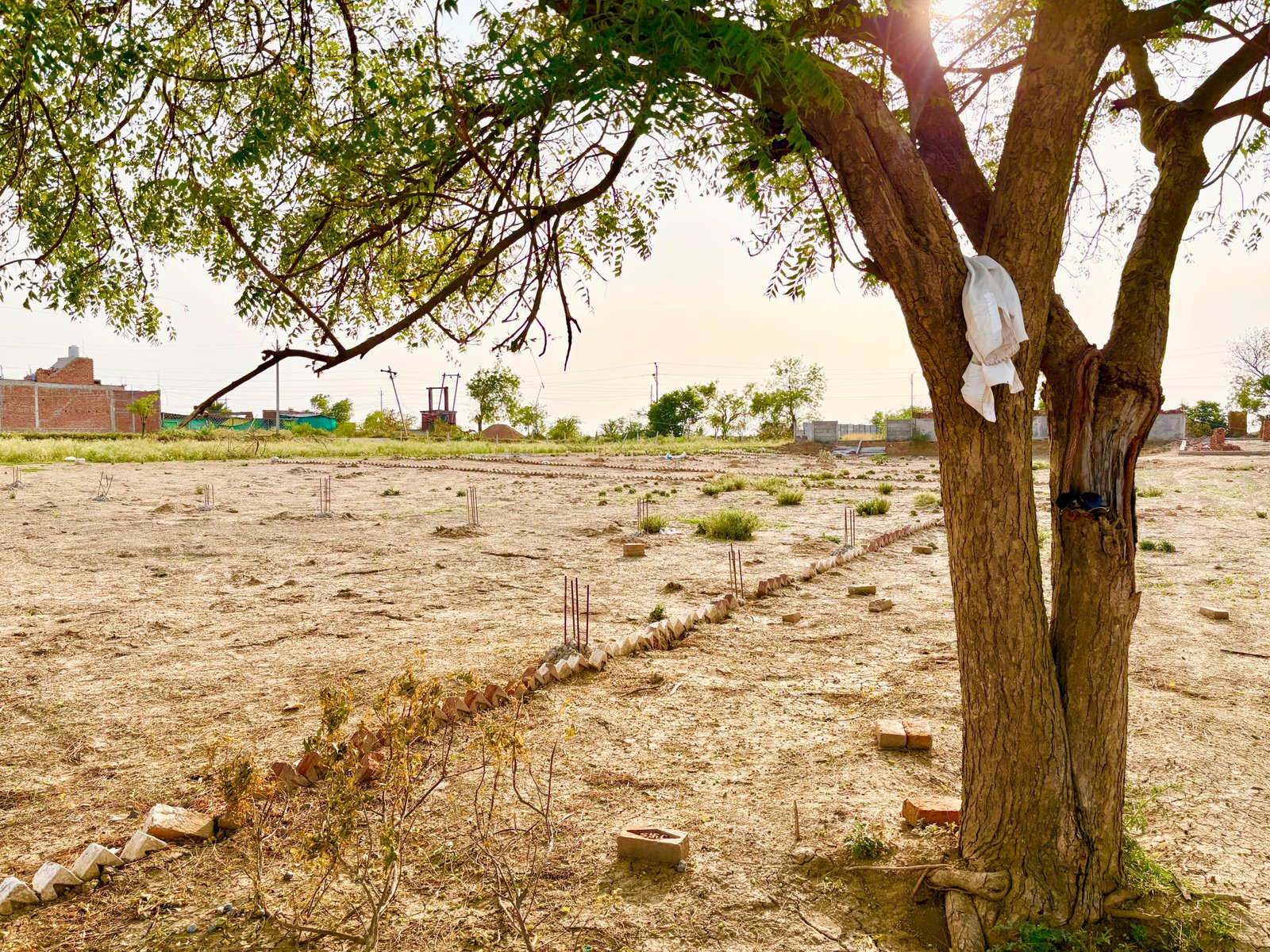 20X40 का प्लॉट चुरखी रोड के टच में  gallery 2